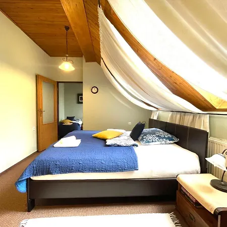 Art Dans Le Parc Banská Bystrica