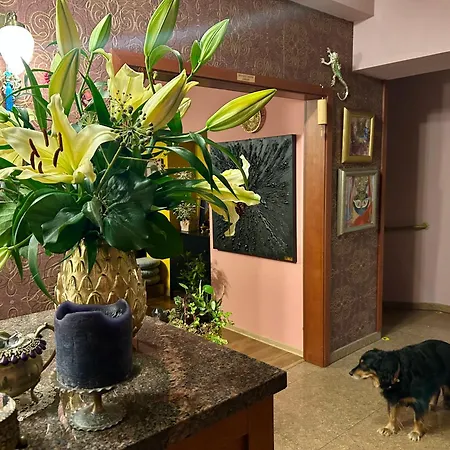 Art Dans Le Parc * Banská Bystrica