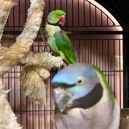 Hotel Art Dans Le Parc *